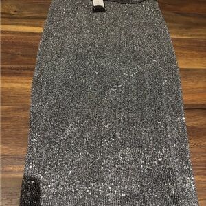 Sparkly skirt. NWT.  Size small